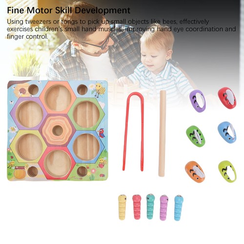 Beehive matching game for - beehive,