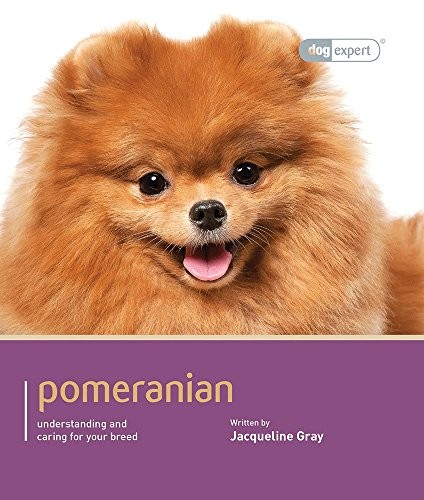 Pomeranian by - (dog, expert)