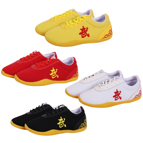Martial arts tai - tai, shoes