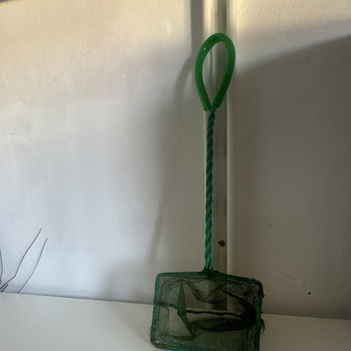 Fishing net small - fishing,