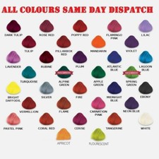 4 x LA RICHE DIRECTIONS HAIR