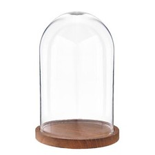 Glass Display Cloche Bell Jar Dome Cover 25cm Flower Preservation Wooden Base 