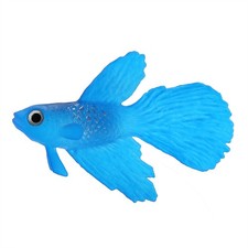 (Blue Betta Fish)Aquarium Fake