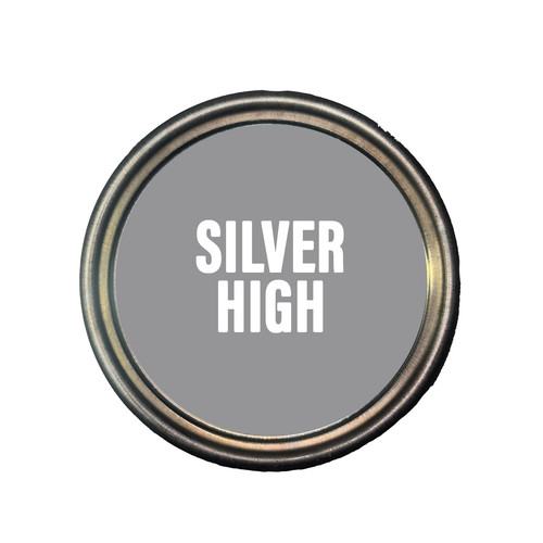 Brake caliper paint - brake, silver