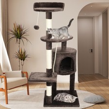 Multilevel Cat Tree Scratching