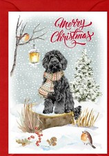 Labradoodle / Doodle Dog A6