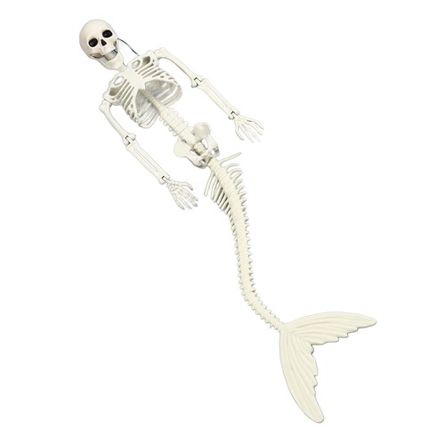 Life size skeleton halloween - size,