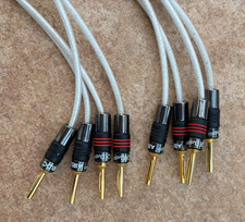 QED Silver Anniversary XT