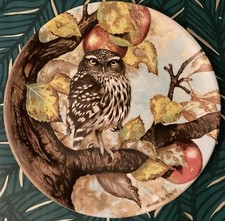 Gorgeous Coalport Fine Bone China Little Owl LE Plate By Michael B Sawdy🦉