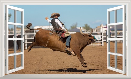 Rodeo cowboy bull - rider, 3d