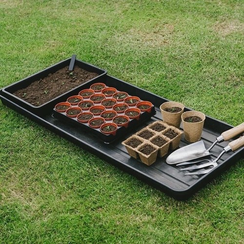 Extra large 100cm plant grow - extra,