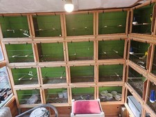 Double Canary Breeding Cages