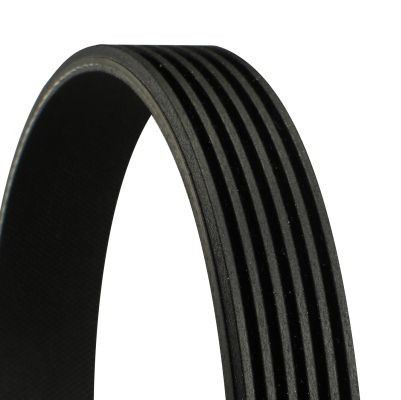 Ribbed belt continental ctam - v-ribbed,