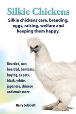 Silkie Chickens Care, Breeding, Eggs, Raising, Welfare and Keeping Them Happy...