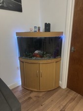 Juwel Trigon 190 Corner Fish Tank with Cabinet Stand and Accessories
