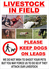 LIVESTOCK IN FIELD .. KEEP