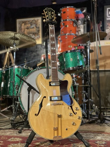 Epiphone usa john lee hooker - usa,