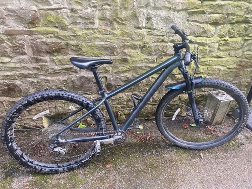 Specialized rockhopper - ,