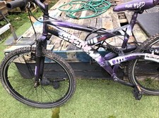 Hand Painted Pink Floyd Bike