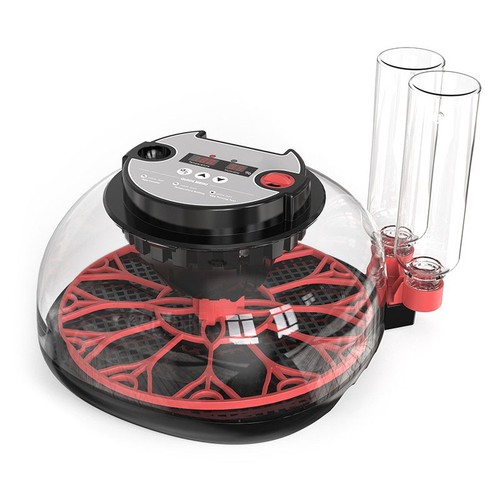 Eggs automatic egg - 12,