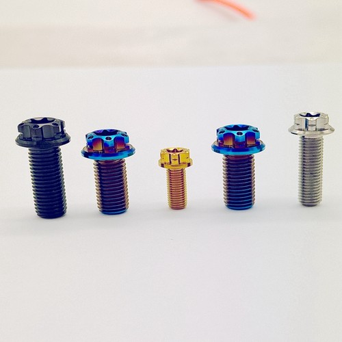 Titanium flange bolts torx - titanium,