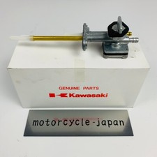 Kawasaki Genuine Ninja 250R