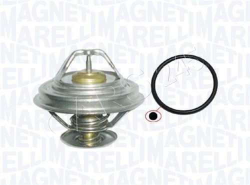 Magneti marelli coolant - magneti,