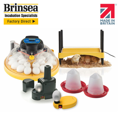 Brinsea maxi advance - maxi, 24