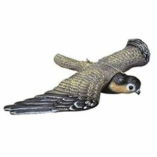 Flying Hawk Falcon Garden Pest