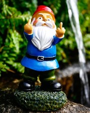 Funny Garden Gnomes, Colorful