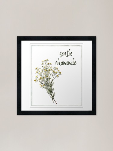 Gentle chamomile vintage - gentle,