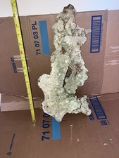 TB1 Multi Branch Tonga Branch