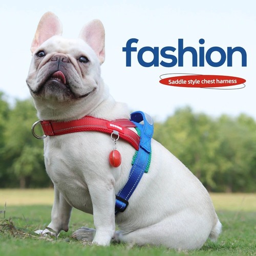 Reflective pull dog - dog, harness