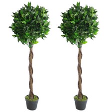 Pair 120cm twisted - of,
