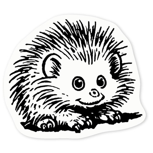African pygmy hedgehog - pygmy, hedgehog'