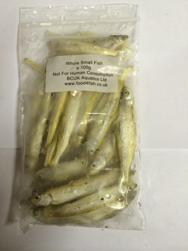 Frozen small fish suitable - small,