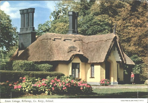 Vintage john hinde postcard - john,