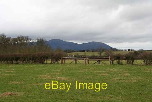 Photo 6x4 cross country jumps - cross,