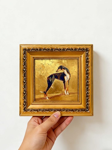 Elegant greyhound dog portrait - elegant,