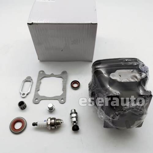 Cylinder piston kit for - cylinder,