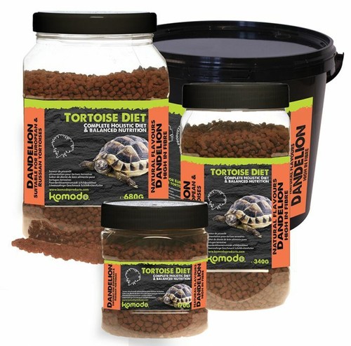Komodo tortoise diet food - komodo,