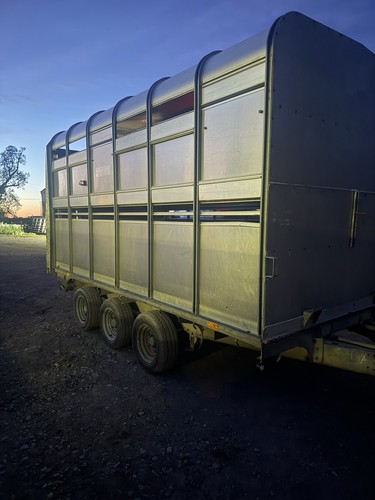 Ifor williams dp12x6 cattle - ifor,