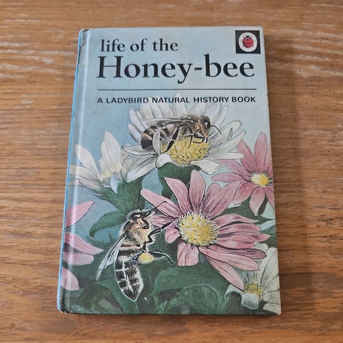 Retro ladybird life the - life,