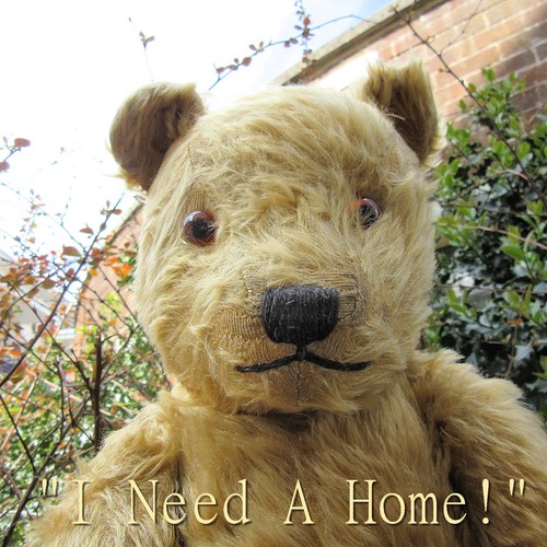 Large chiltern hugmee - large, 20"