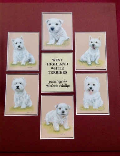West highland white terriers - west,