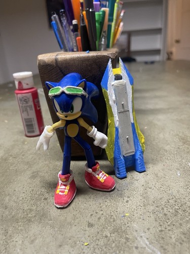 Sonic riders printed - riders, 3-d