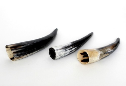 Drinking horn cow - 1,