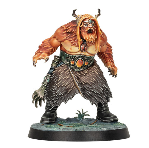 Warhammer quest darkwater hero - quest,