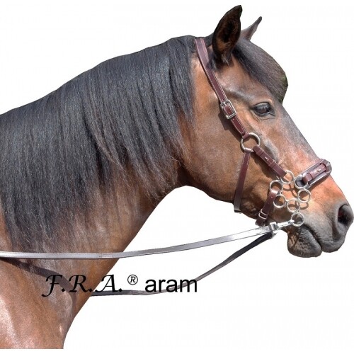 Aram rose hackamore bitless - hackamore,