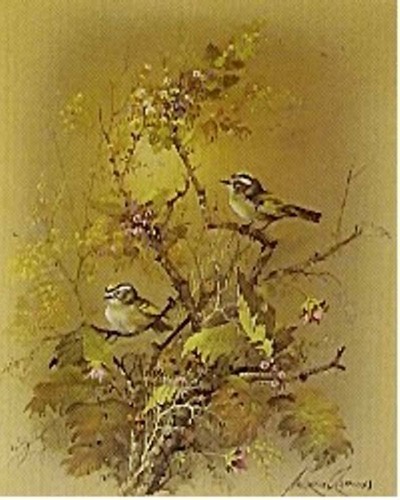 Andres orpinas print litho - andres,